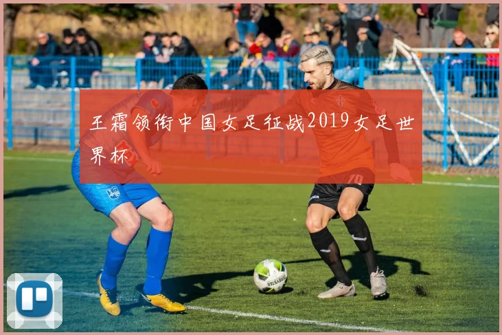王霜领衔中国女足征战2019女足世界杯