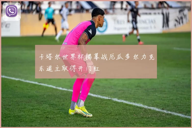 卡塔尔世界杯揭幕战厄瓜多尔力克东道主取得开门红